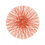 Straw Placemat Set of 4