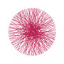 Straw Placemat Set of 4