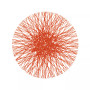 Straw Placemat Set of 4