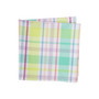 Spring Plaid Napkin, Set of 6