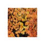 Fall Set of 4 Napkins, 18" x 18"