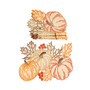 Pumpkin Party Embroidered Cutwork Placemats - Set of 4