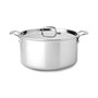 Stainless Steel 8 Qt. Covered Stockpot