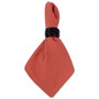 Spice Napkin, Set of 6