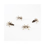 Spider Napkin Ring, Set of 4