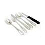 Wilmington Plus 55 Piece Flatware Set