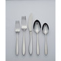 Mooncrest 65 Piece Everyday Flatware Set, Service For 12