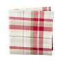 Orchard Plaid Napkin Set
