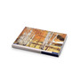 Birch Beauty Placemats, Set of 4