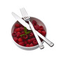 Everyday Bistro Band 20 Pieces Flatware Set
