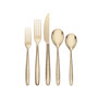 Storm Champagne 20 Piece Everyday Flatware Set, Service For 4