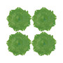 Ginko Leaf Placemat Set of 4