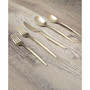 Gaze Champagne Satin 20-Piece Flatware Set, Service for 4