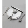 January Black Satin 20-Piece Flatware Set, Service for 4