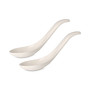 Soup Passion 2-Pc. Asia Spoon Set