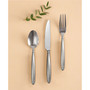Skandia  Tidal Frosted 5-Pc. Place Setting