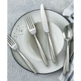 Skandia  Tidal Frosted 5-Pc. Place Setting