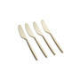 Gaze Champagne Satin Spreaders Set, 4 Piece