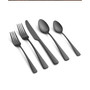 Cerys Black Satin 20-Piece Flatware Set, Service for 4