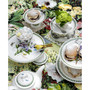 Botanic Garden Set of 6 Teaspoons