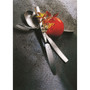 Mediterranean Flatware Set, 5 Pieces