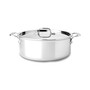 Stainless Steel 6 Qt. Covered Stockpot