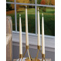 Taper 9" Candle Set, 12 Piece