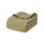 Chevron All Season Cotton Blanket, Twin