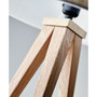 Director Tripod Floor Lamp