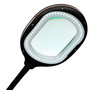 Lightview Pro LED 3-in-1 Magnifier Floor & Desk Lamp Combo - (1.75x) 3 Diopter