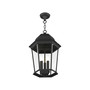 Hamilton 3 Lights Outdoor Pendant Lantern