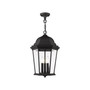 Hamilton 3 Lights Outdoor Pendant Lantern