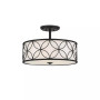 Reid 4-Light Ceiling Light