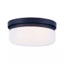 Stratus 2-Light Ceiling Mount/ Wall Mount