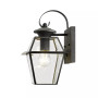 Westover 1-Light Outdoor Wall Lantern