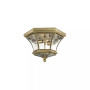 Monterey 2-Light Ceiling Mount