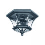 Monterey 2-Light Ceiling Mount