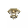 Monterey 2-Light Ceiling Mount