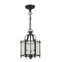 Livingston 3-Light 13.75" Convertible Mini Pendant/Ceiling Mount