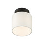 Meridian 1 Light Semi Flush