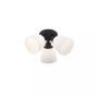 Somerville 3-Light Ceiling Mount
