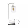 Modern Desk Lamp with USB Port and Glass Shade