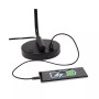 Modern Desk Lamp with USB Port and Glass Shade