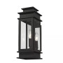 Princeton 1-Light Outdoor Wall Lantern