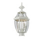 Monterey 2-Light Outdoor Post Lantern