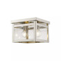 Milford 2-Light Ceiling Mount