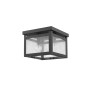Milford 2-Light Ceiling Mount