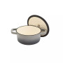Cast Iron 1 Quart Enamel Dutch Oven