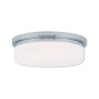 Stratus 3-Light Ceiling Mount/ Wall Mount