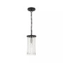 Elizabeth 1 Light Mini Pendant